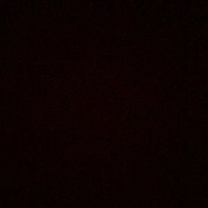 Meet your Posher, Sienna